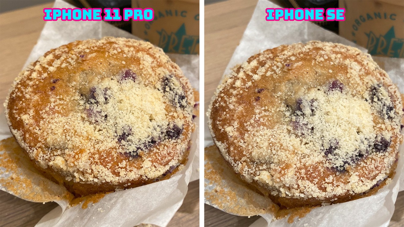 You can see the iPhone 11 Pro shot is a bit sharper when zoomed in.