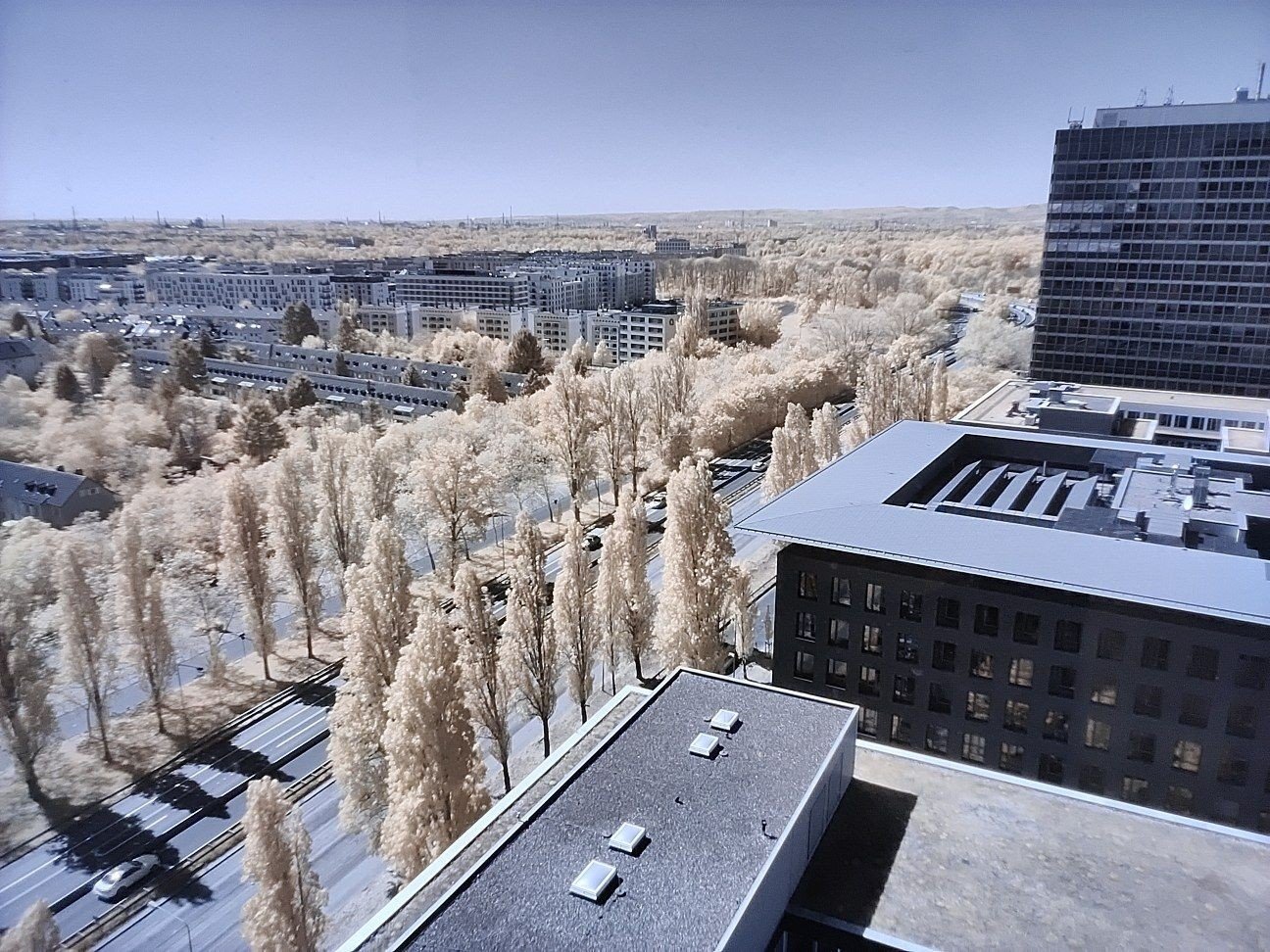 A photo said to be taken on a OnePlus 8 Pro using the Photochrom filter. (Picture: dos90 via OnePlus)