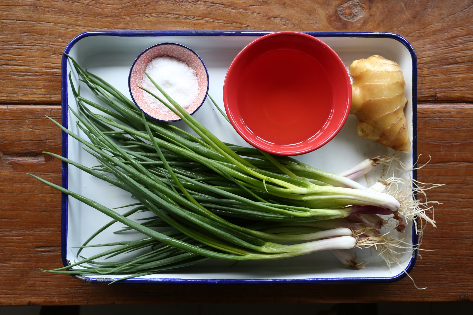 Grow Spring Onions in a Jar  Chinese Recipes at