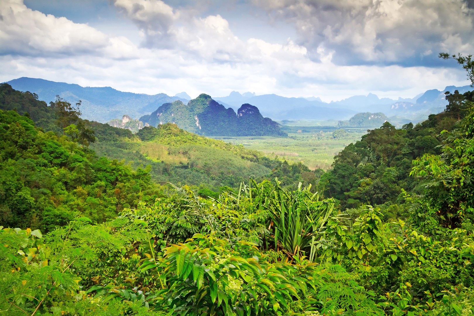 A Thailand jungle adventure like no other: wildlife and nighttime ...