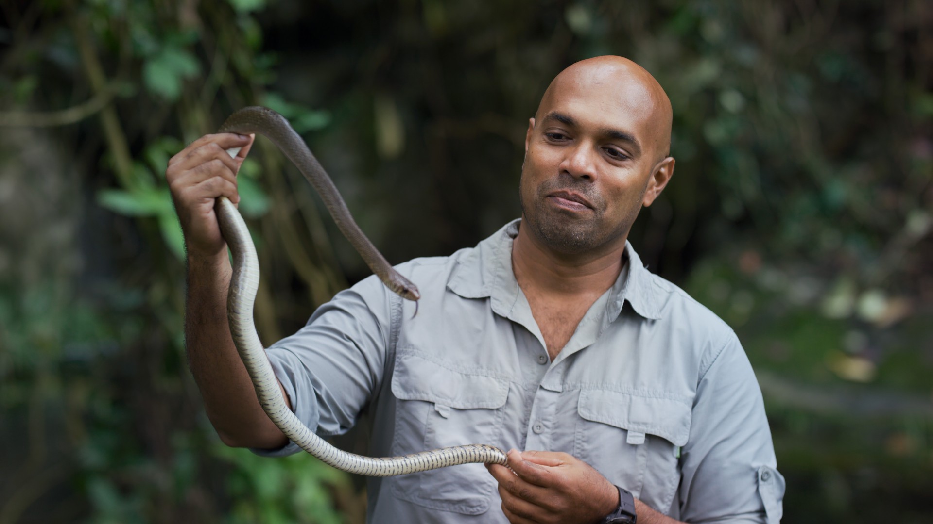 I Preferred Animal Underdogs The Snake Expert Helping Nat