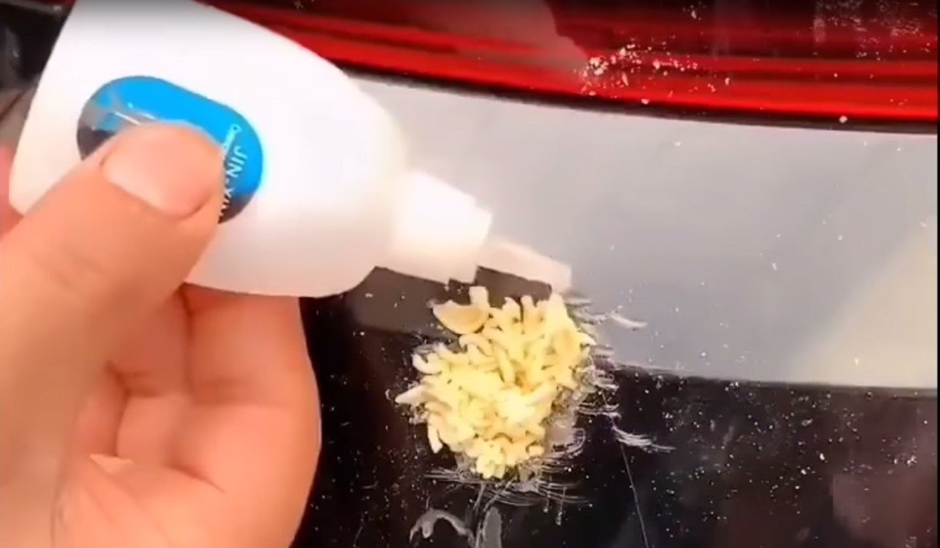 Ramen Repair Videos Probably Not What They Are Cooked Up To Be
