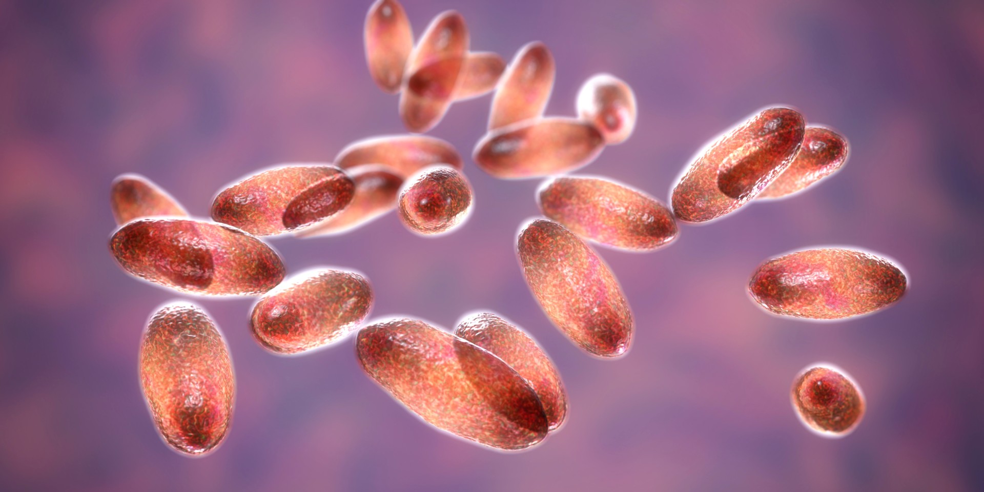 Two Pneumonic Plague Cases Confirmed In Chinese Villagers South