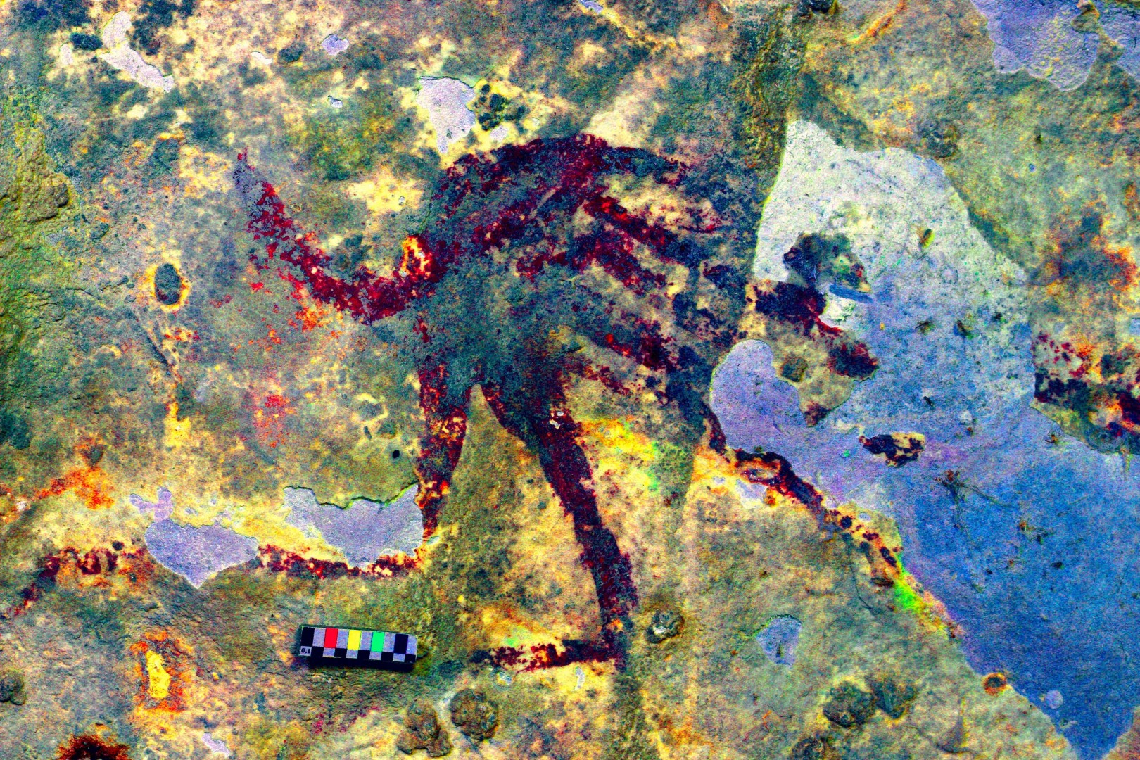 The Oldest Story Ever Told A Painting Of Pigs On A Cave Wall In