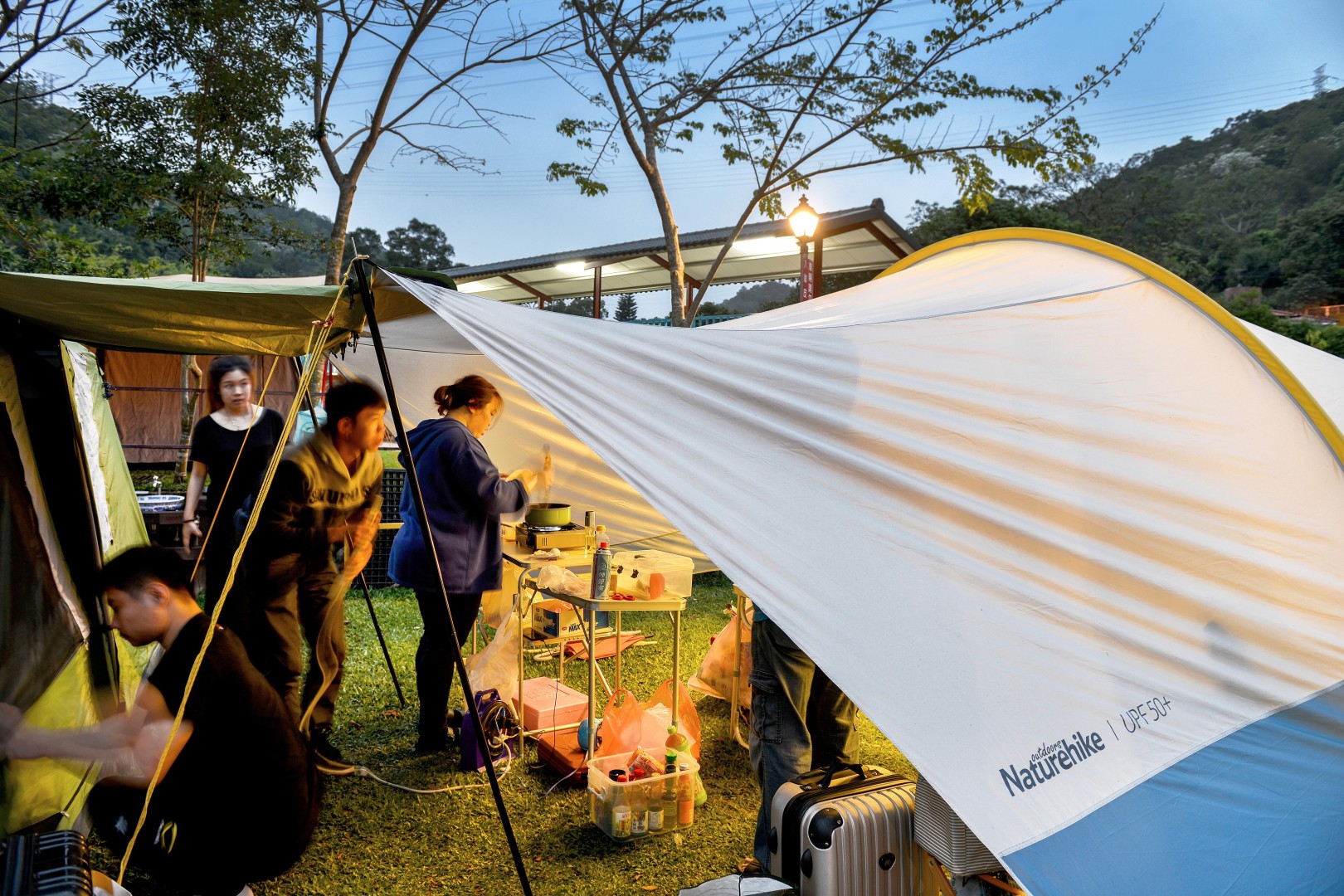 TFStents DIAMOND TARP