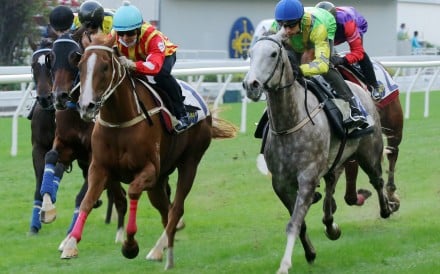 Handsome Veggie (right) runs on in a barrier trial at Happy Valley last month. Photo: Kenneth Chan