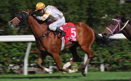 Joyful Win burns to victory at Happy Valley last month. Photo: Kenneth Chan