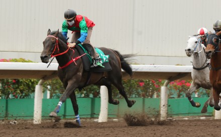 Derek Leung partners Money Catcher in a trial at Sha Tin on Tuesday morning. Photo: Kenneth Chan.