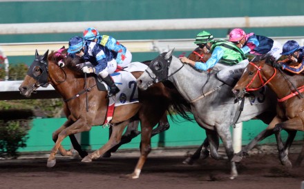 Duke Wai comes out on top in a tight finish to the Class One at Sha Tin. Photo: HKJC