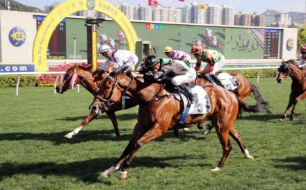 Nervous Witness fights off Stoltz to win at Sha Tin. Photo: HKJC