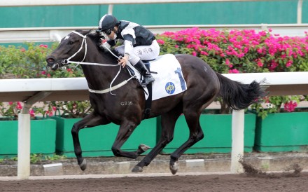 Campione comes well clear of his rivals to win at Sha Tin. Photos: HKJC