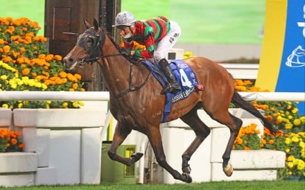 Russian Emperor wins the Gold Cup under Blake Shinn in February. Photo: HKJC