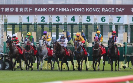 Horses leave the gates at Sha Tin. Photo: Kenneth Chan