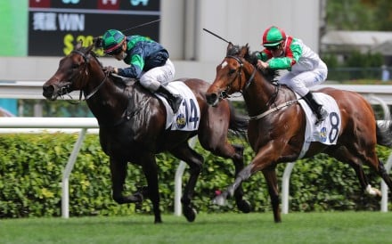 Reve Parisien (left) springs a huge surprise when winning at Sha Tin. Photo: Kenneth Chan