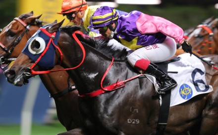 Everyone’s Delight just gets the better of Soulmate at Happy Valley on Wednesday night. Photo: Kenneth Chan
