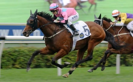 Beluga wins over 1,600m at Sha Tin in January. Photo: Kenneth Chan