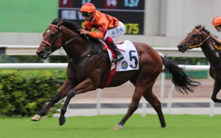 Lucky Eight coasts home on debut at Sha Tin on Sunday. Photo: Kenneth Chan