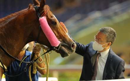 Francis Lui gives a well-deserved pat to Stoltz after his latest win at Happy Valley. Photo: Kenneth Chan