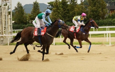 Computer Patch (pink cap) finishes fifth in the Korea Sprint. Photo: HKJC