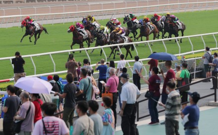 Fans watch on as the field thunders down the straight at Sha Tin on Sunday. Photos: Kenneth Chan