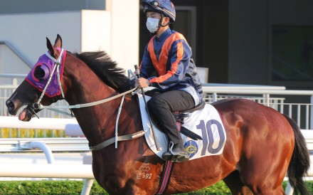 Angus Chung partners Whizz Kid in his Sha Tin barrier trial on September 3. Photos: Kenneth Chan