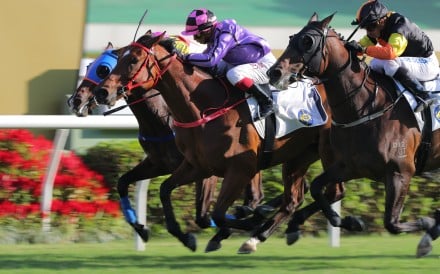 Sweet Encounter (purple colours) salutes under Alexis Badel at Sha Tin on Sunday. Photos: Kenneth Chan