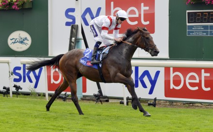 Deauville Legend wins the Great Voltigeur Stakes at York in August. Photo: racingfotos.com
                                