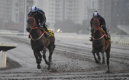 Baby Crystal (left) and A Americ Te Specso (right) gallop on Sha Tin’s all-weather track ahead of their respective debuts for 11-time champion trainer John Size. Photos: Kenneth Chan