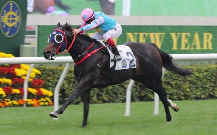Healthy Happy wins the Group Three Chinese Club Challenge Cup (1,400m) at Sha Tin on New Year’s Day. Photo: Kenneth Chan.