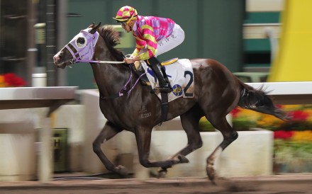 Super Win Dragon posts another wide-margin win on Sha Tin’s all-weather track on October 26. Photo: Kenneth Chan