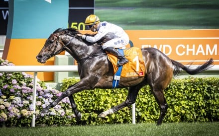 Hong Kong’s superstar racehorse Golden Sixty is performing again this season. Photos: Hong Kong Jockey Club