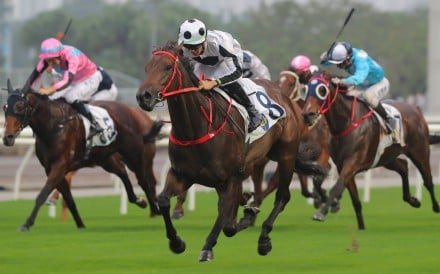 Derek Leung rides Keefy to win the Class One Chevalier Cup (1,600m) at Sha Tin on November 27. Photos: Kenneth Chan