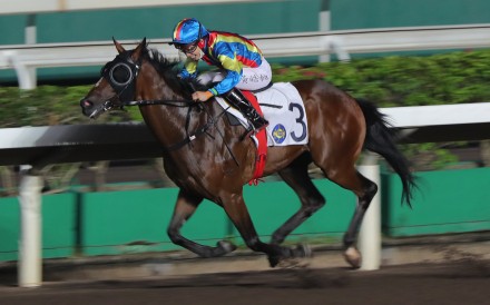 Happy Fat Cat carries Jack Wong to his first win this season at Sha Tin on October 26. Photo: Kenneth Chan