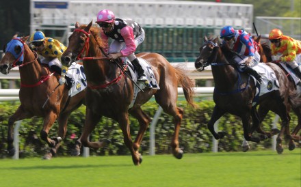 Beauty Eternal wins on debut at Sha Tin in October. Photo: Kenneth Chan
