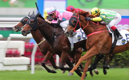 Beluga (pink and blue cap) wins under Zac Purton in November. Photo: Kenneth Chan