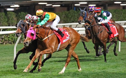 Meaningful Star wins at Happy Valley in February last year. Photo: HKJC