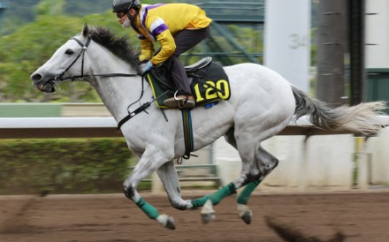 Glorious Dragon trials at Sha Tin. Photos: Kenneth Chan