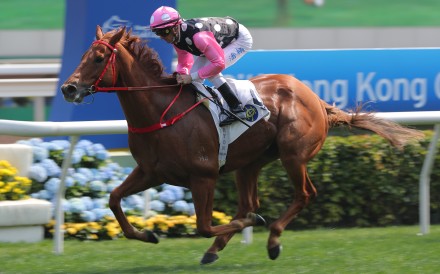 Beauty Eternal wins under Zac Purton at Sha Tin in February. Photos: Kenneth Chan