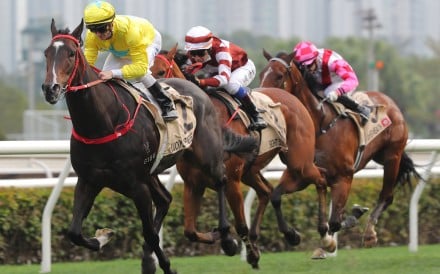 Lucky Sweynesse wins last month’s Centenary Sprint Cup. Photos: Kenneth Chan