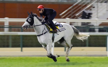 Neil Callan gallops Glorious Dragon at Meydan on Wednesday morning. Photos: Kenneth Chan