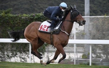 Zac Purton gallops Nervous Witness at Sha Tin on December 19. Photo: Kenneth Chan