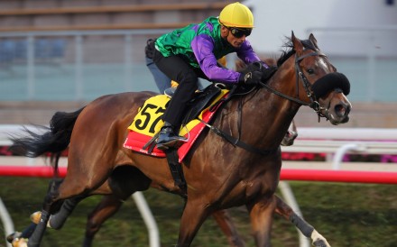 Flaming Rabbit trials under Karis Teetan at Sha Tin on March 7. Photo: Kenneth Chan
                                