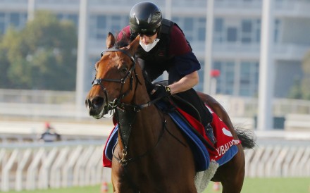 Dubai Honour gallops under Tom Marquand at Sha Tin in 2021. Photo: Kenneth Chan
