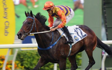 Straight Arron wins the Class Two Wan Chai Gap Handicap (1,800m) under Vincent Ho at Sha Tin on Sunday. Photo: Kenneth Chan