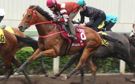 Sight Success trials under Vagner Borges at Sha Tin on Tuesday morning. Photo: Kenneth Chan