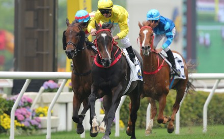 Lucky Sweynesse (middle) wins the recent Sprint Cup. Photos: Kenneth Chan.