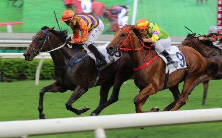 Straight Arron wins the Queen Mother Memorial Cup under Vincent Ho at Sha Tin on Sunday. Photos: Kenneth Chan