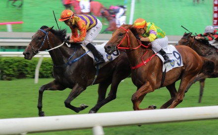 Straight Arron wins the Queen Mother Memorial Cup at Sha Tin earlier this month. Photos: Kenneth Chan