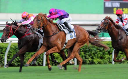 Lyle Hewitson drives Ching to victory at Sha Tin on Sunday. Photos: Kenneth Chan