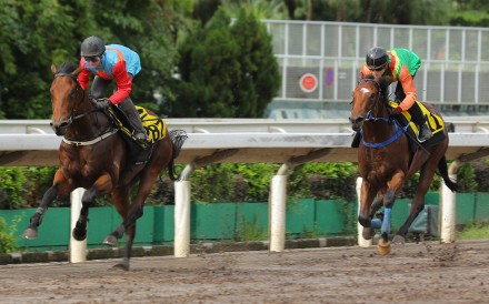 Ka Ying Victory wins his barrier trial at Sha Tin on June 9. Photos: Kenneth Chan